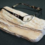 Snead Eye Group Optical Department