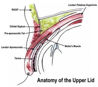 Say Goodbye To Droopy Eyelids